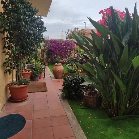 nuovo e confortevole appartamento con giardino Olbia Esterno foto