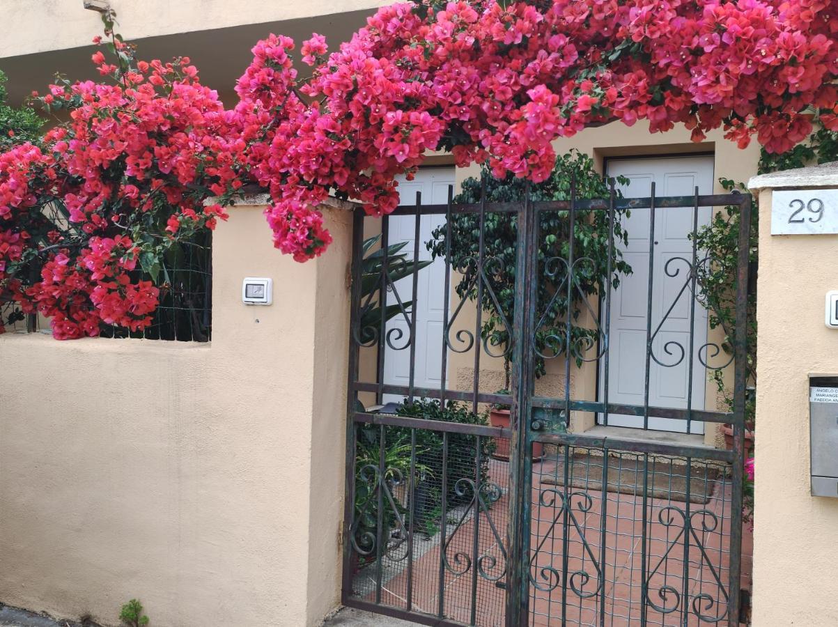 nuovo e confortevole appartamento con giardino Olbia Esterno foto