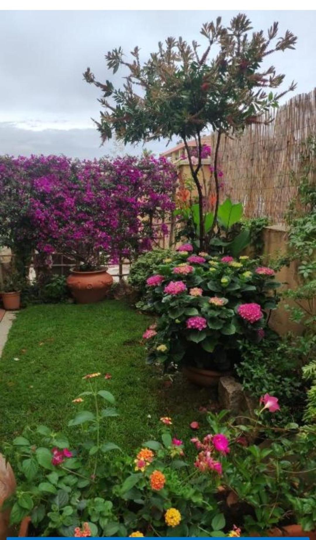 nuovo e confortevole appartamento con giardino Olbia Esterno foto
